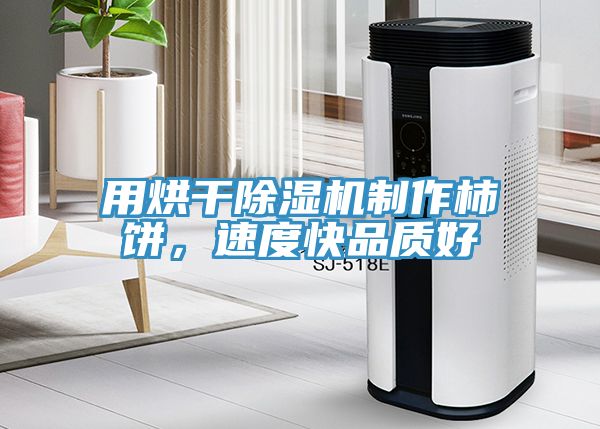 用烘干除濕機(jī)制作柿餅，速度快品質(zhì)好