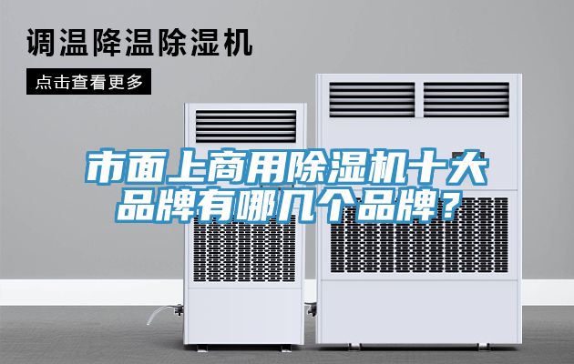 市面上商用除濕機十大品牌有哪幾個品牌？