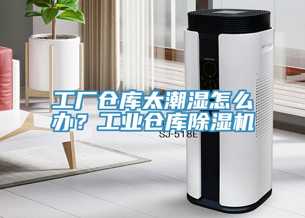 工廠倉(cāng)庫(kù)太潮濕怎么辦？工業(yè)倉(cāng)庫(kù)除濕機(jī)