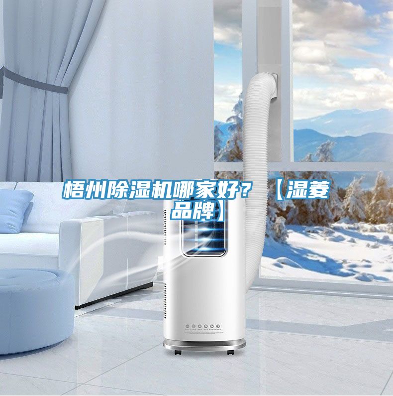 梧州除湿机哪家好？【湿菱品牌】
