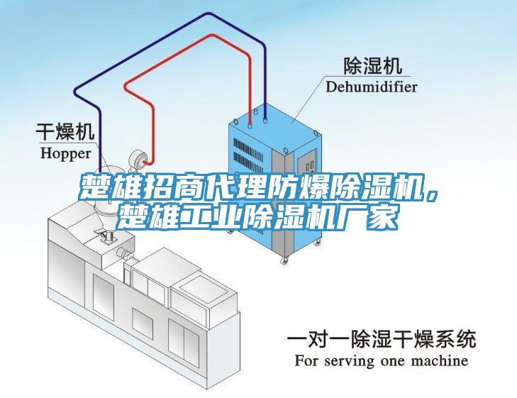 楚雄招商代理防爆除湿机，楚雄工业除湿机厂家