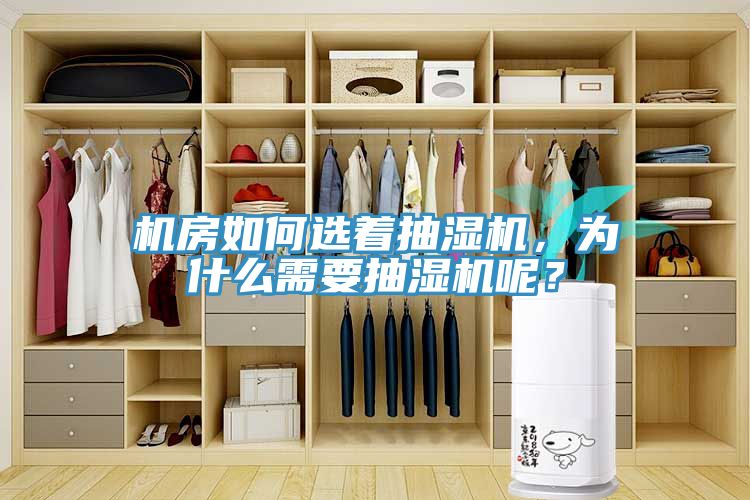 机房如何选着抽湿机，为什么需要抽湿机呢？