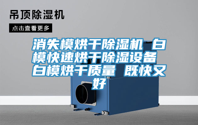 消失模烘干除濕機(jī) 白?？焖俸娓沙凉裨O(shè)備 白模烘干質(zhì)量 既快又好