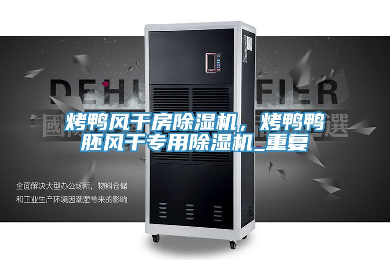 烤鴨風(fēng)干房除濕機(jī)，烤鴨鴨胚風(fēng)干專用除濕機(jī)_重復(fù)