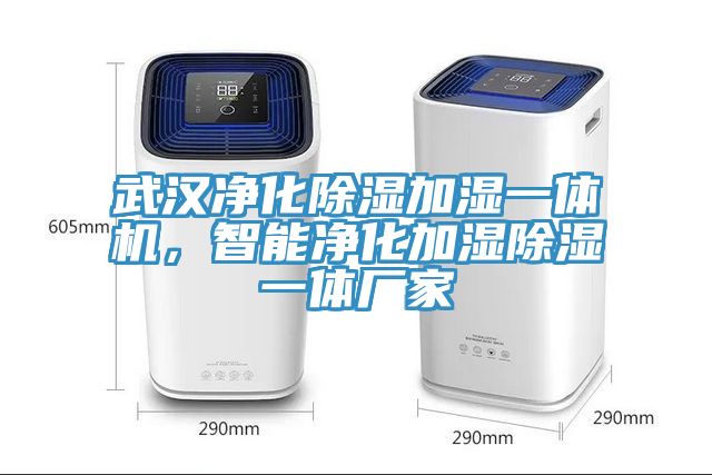 武汉净化除湿加湿一体机，智能净化加湿除湿一体厂家