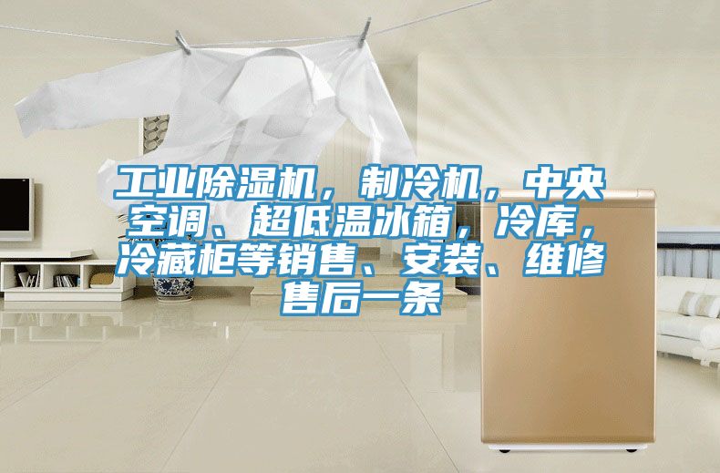 工業(yè)除濕機(jī)，制冷機(jī)，中央空調(diào)、超低溫冰箱，冷庫(kù)，冷藏柜等銷(xiāo)售、安裝、維修售后一條