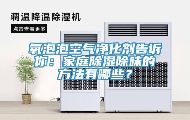 氧泡泡空气净化剂告诉你：家庭除湿除味的方法有哪些？