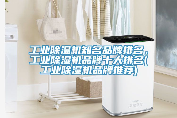 工業(yè)除濕機(jī)知名品牌排名，工業(yè)除濕機(jī)品牌十大排名(工業(yè)除濕機(jī)品牌推薦)