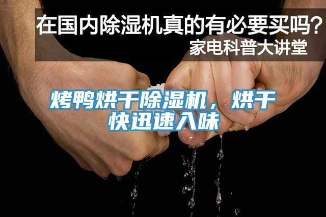烤鴨烘干除濕機(jī)，烘干快迅速入味