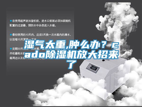 濕氣太重,腫么辦？cado除濕機(jī)放大招來了