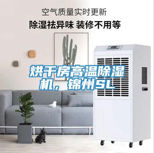 烘干房高溫除濕機(jī)，錦州SL