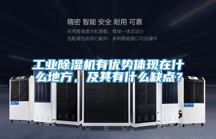 工業(yè)除濕機(jī)有優(yōu)勢體現(xiàn)在什么地方，及其有什么缺點(diǎn)？