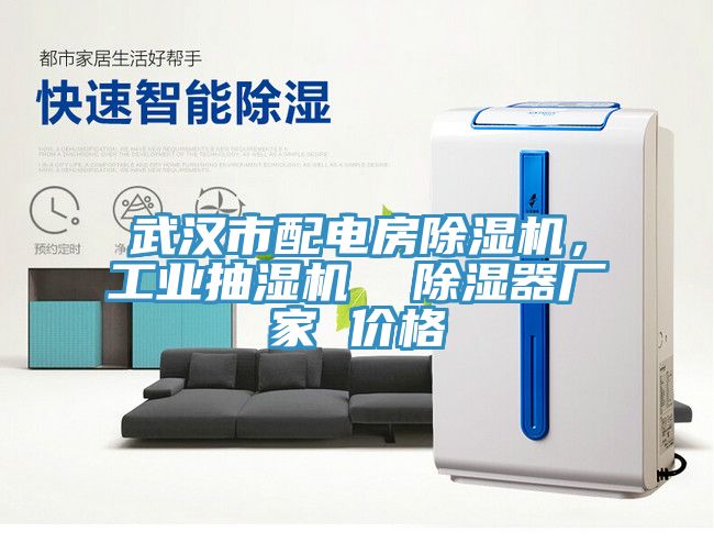 武汉市配电房除湿机，工业抽湿机  除湿器厂家 价格