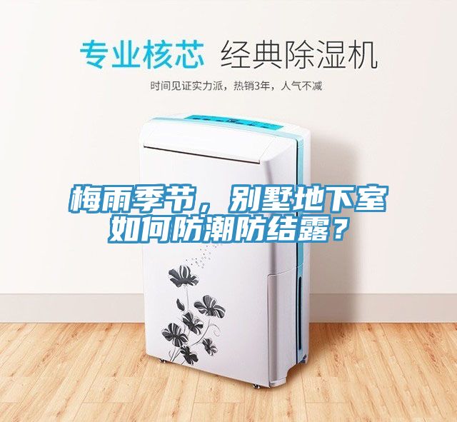 梅雨季节，别墅地下室如何防潮防结露？