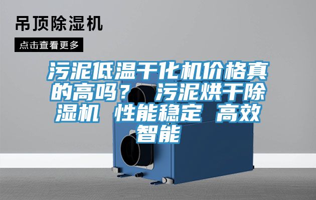 污泥低温干化机价格真的高吗？ 污泥烘干除湿机 性能稳定 高效智能