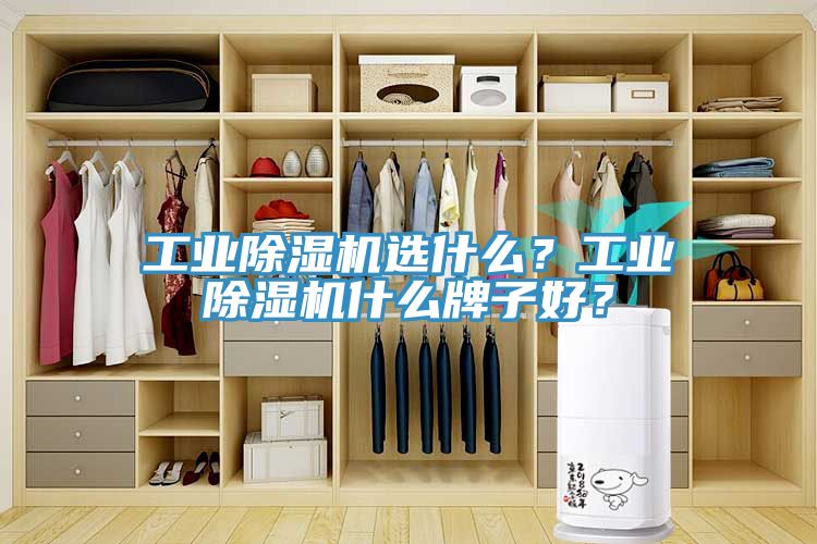 工業(yè)除濕機選什么？工業(yè)除濕機什么牌子好？