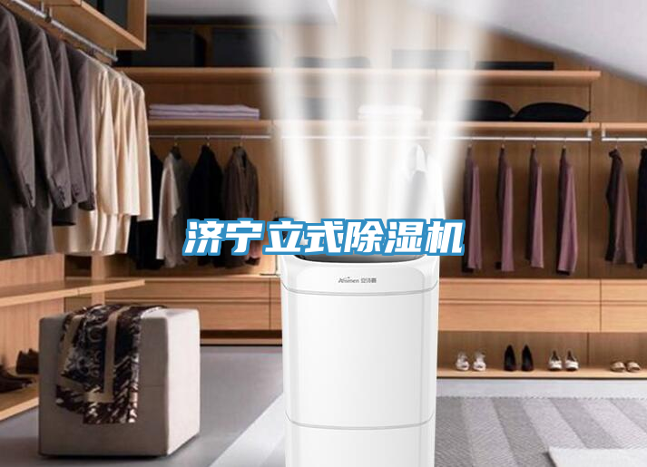 濟(jì)寧立式除濕機