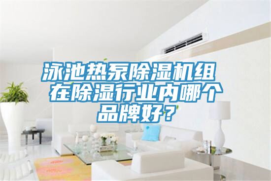 泳池热泵除湿机组 在除湿行业内哪个品牌好？