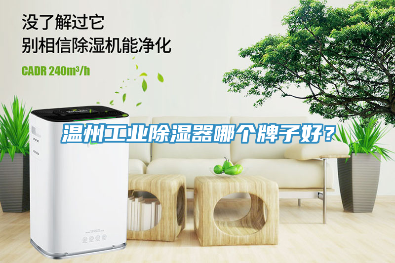 溫州工業(yè)除濕器哪個牌子好？