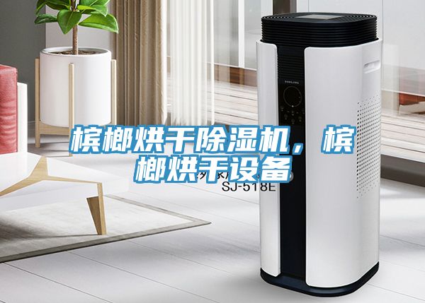 槟榔烘干除湿机，槟榔烘干设备