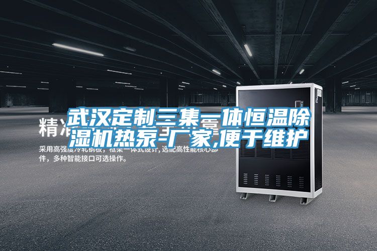 武汉定制三集一体恒温除湿机热泵-厂家,便于维护