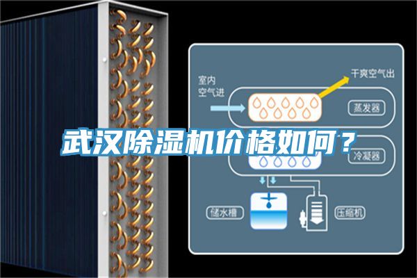 武汉除湿机价格如何？