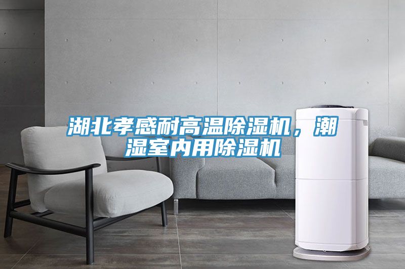 湖北孝感耐高溫除濕機(jī)，潮濕室內(nèi)用除濕機(jī)