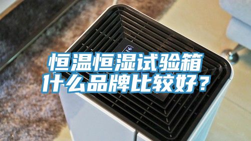 恒温恒湿试验箱什么品牌比较好？