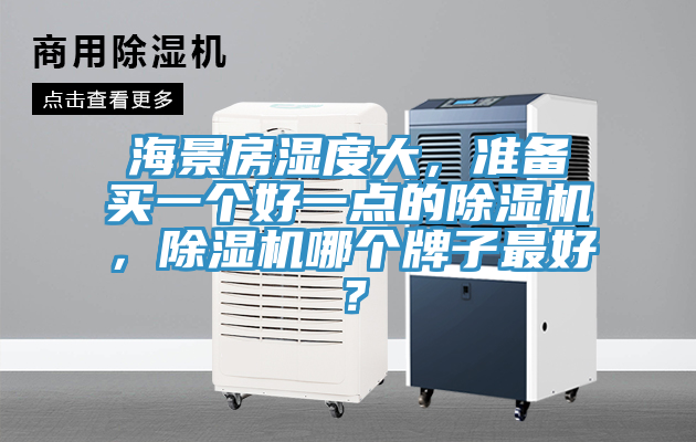 海景房濕度大，準(zhǔn)備買一個(gè)好一點(diǎn)的除濕機(jī)，除濕機(jī)哪個(gè)牌子最好？