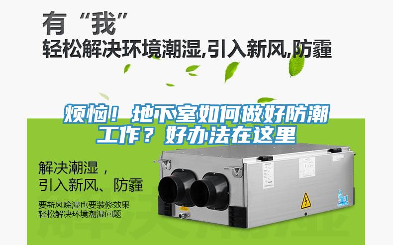 烦恼！地下室如何做好防潮工作？好办法在这里