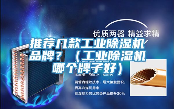 推薦幾款工業(yè)除濕機(jī)品牌？（工業(yè)除濕機(jī)哪個(gè)牌子好）