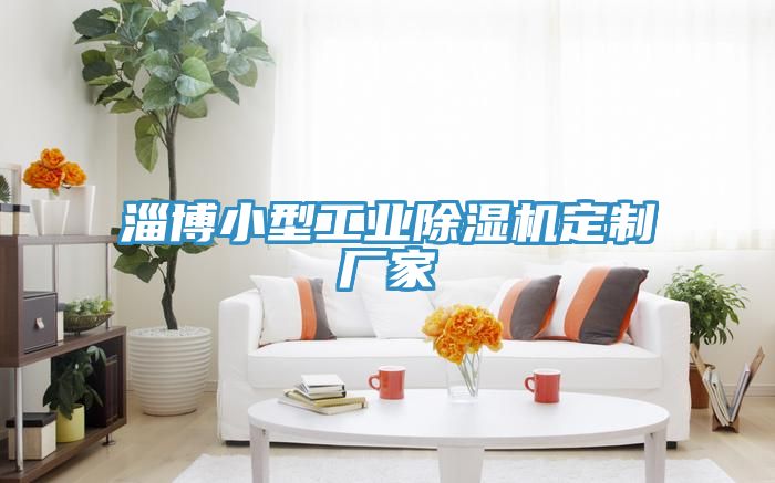 淄博小型工业除湿机定制厂家