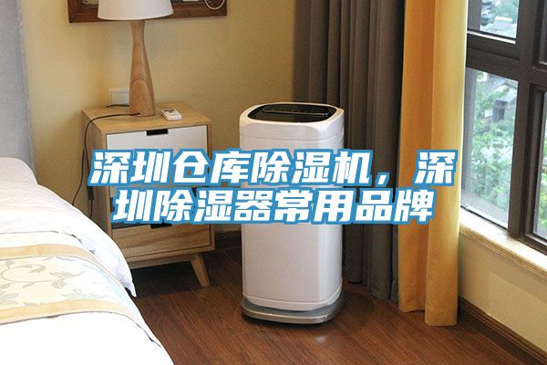 深圳仓库除湿机，深圳除湿器常用品牌