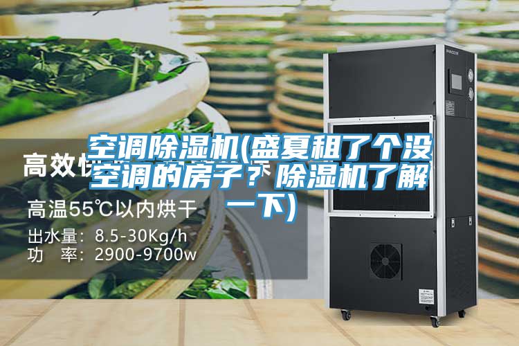 空調(diào)除濕機(jī)(盛夏租了個(gè)沒(méi)空調(diào)的房子？除濕機(jī)了解一下)