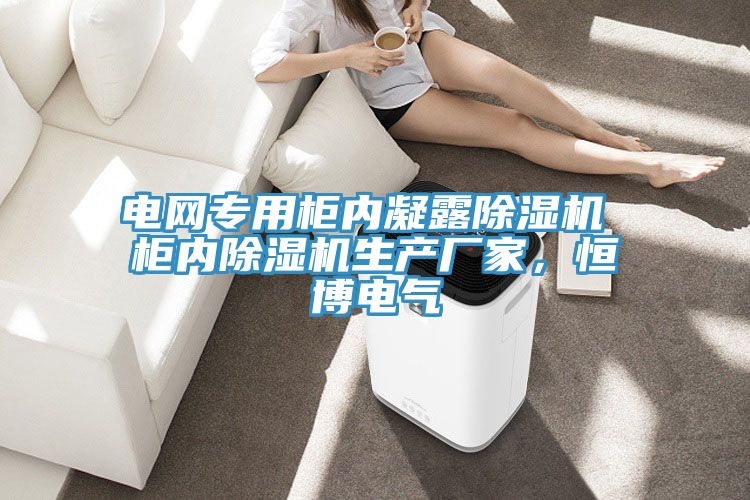电网专用柜内凝露除湿机 柜内除湿机生产厂家，恒博电气