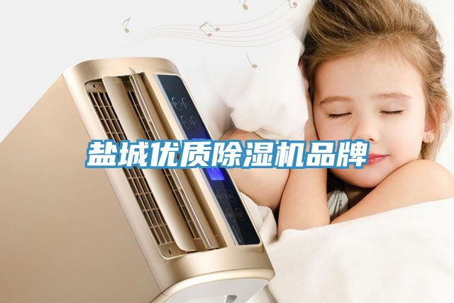 盐城优质除湿机品牌