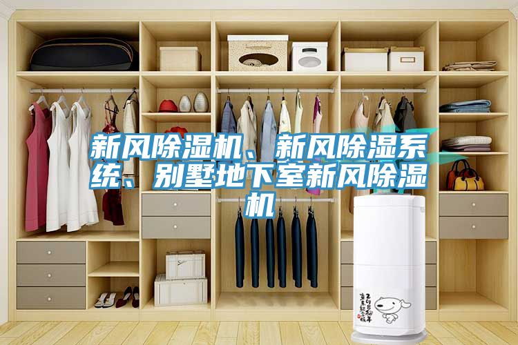 新風(fēng)除濕機(jī)、新風(fēng)除濕系統(tǒng)、別墅地下室新風(fēng)除濕機(jī)
