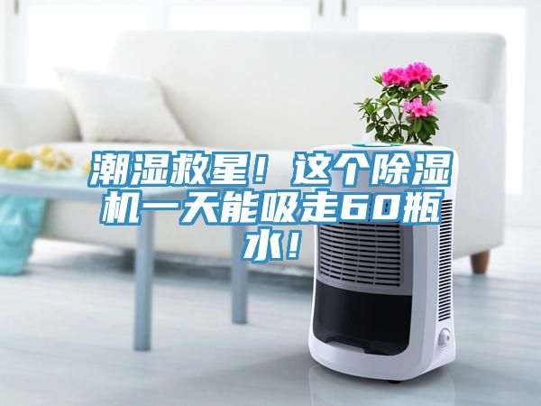 潮湿救星！这个除湿机一天能吸走60瓶水！