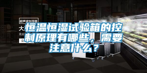 恒温恒湿试验箱的控制原理有哪些，需要注意什么？