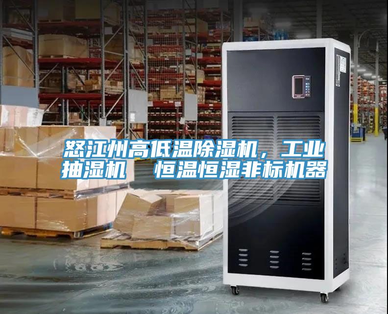 怒江州高低溫除濕機(jī)，工業(yè)抽濕機(jī)  恒溫恒濕非標(biāo)機(jī)器
