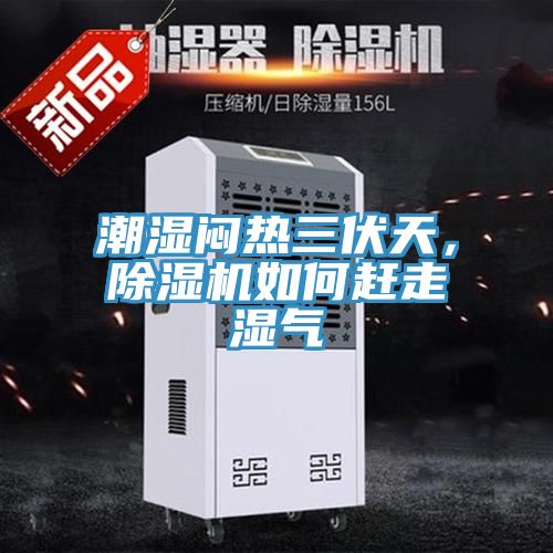 潮湿闷热三伏天，除湿机如何赶走湿气