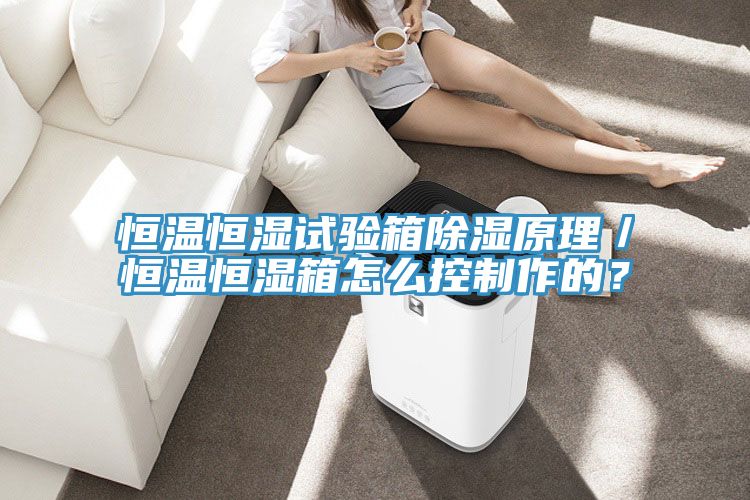 恒温恒湿试验箱除湿原理／恒温恒湿箱怎么控制作的？