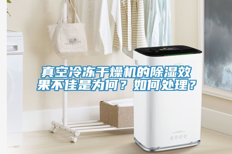 真空冷凍干燥機的除濕效果不佳是為何？如何處理？