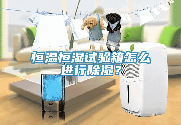 恒温恒湿试验箱怎么进行除湿？