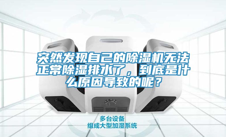 突然發(fā)現(xiàn)自己的除濕機(jī)無法正常除濕排水了，到底是什么原因?qū)е碌哪兀?></div>
								<div   id=