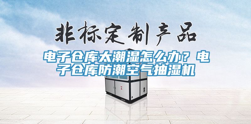 电子仓库太潮湿怎么办？电子仓库防潮空气抽湿机