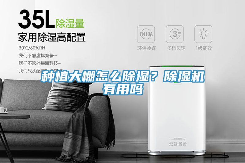 種植大棚怎么除濕？除濕機(jī)有用嗎