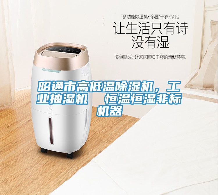 昭通市高低溫除濕機(jī)，工業(yè)抽濕機(jī)  恒溫恒濕非標(biāo)機(jī)器