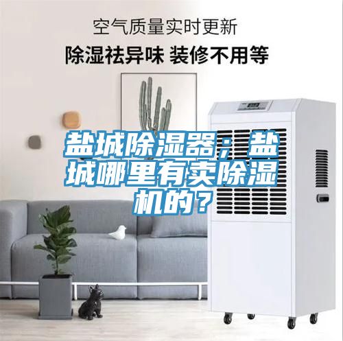 鹽城除濕器；鹽城哪里有賣除濕機(jī)的？