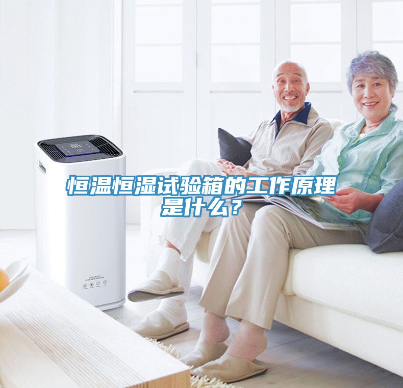 恒温恒湿试验箱的工作原理是什么？